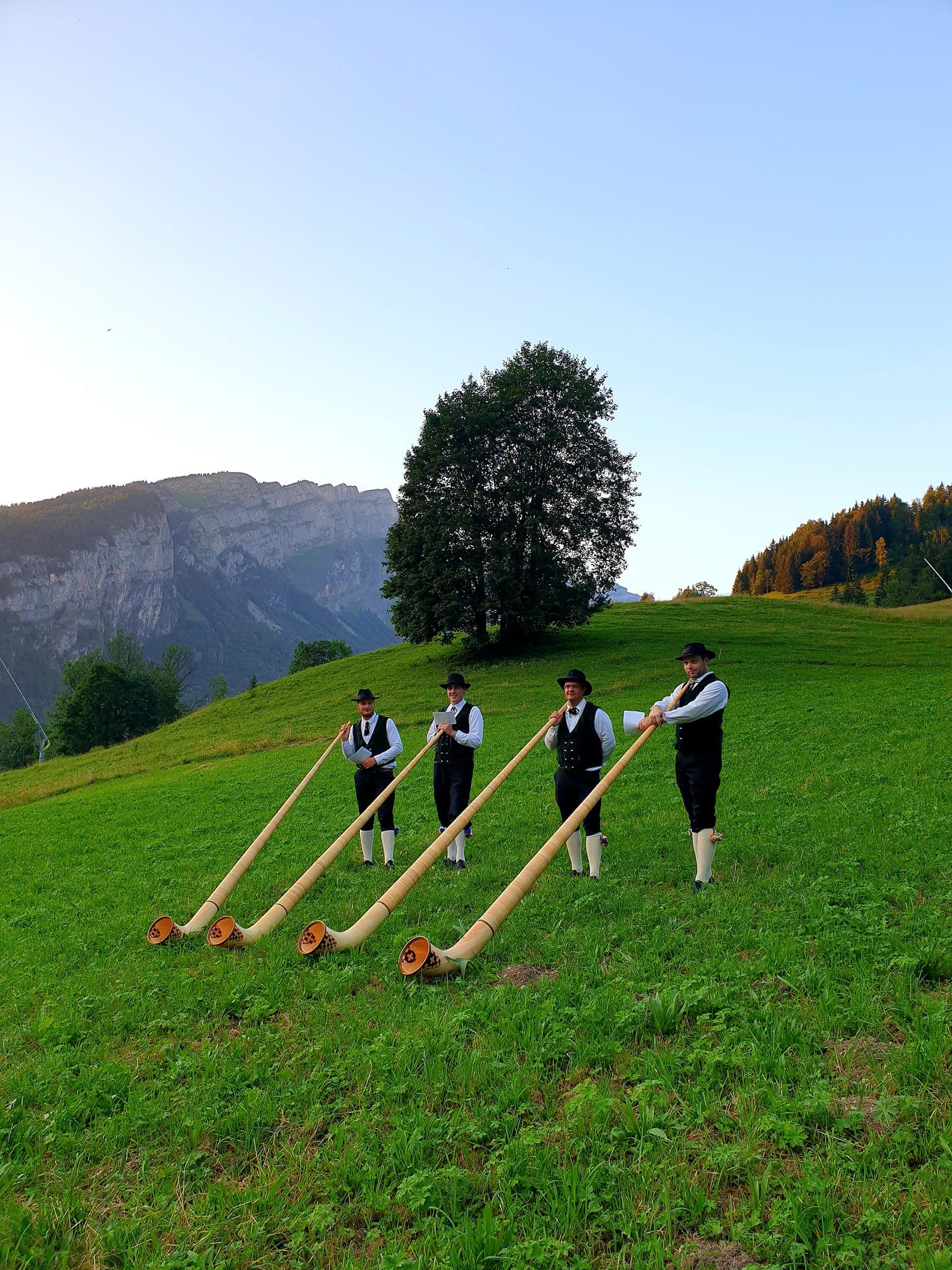 Musiciens jouant du cor des Alpes sur une colline verdoyante avec vue sur les montagnes
